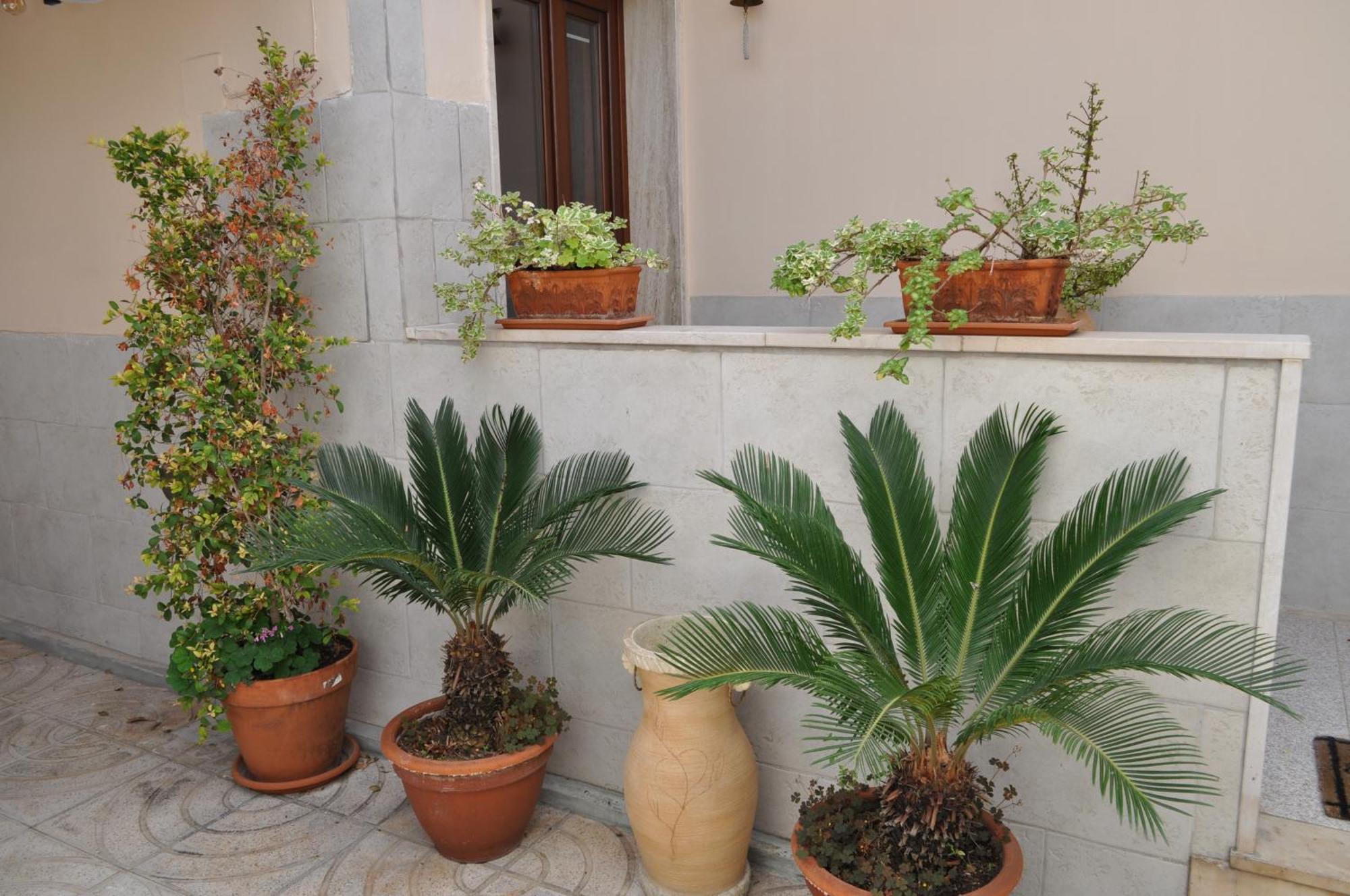 7 Contrade Bed & Breakfast Taranto Exterior photo